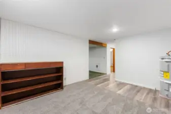 Bonus room downstairs