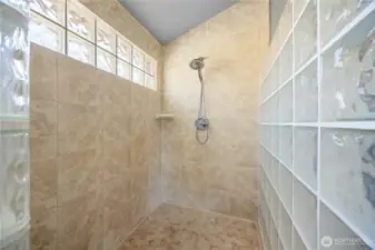 Giant Walk-in Shower