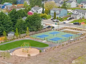Pickleball courts with playfield, climbing structure and covered picnic area.