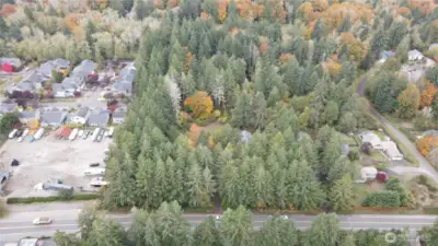 There is some timber on this property.