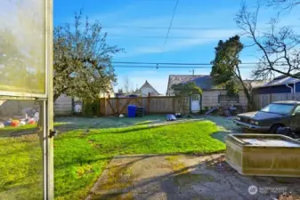 Large back yard
