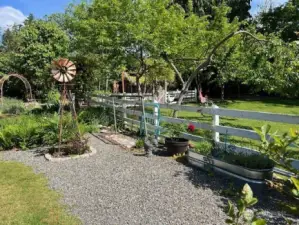 Garden photos from owner during summer