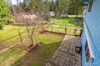 Fenced dog run in the backyard