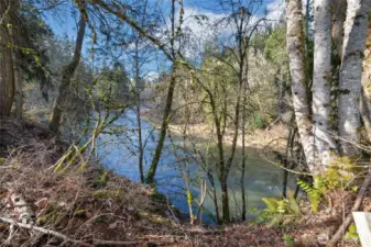 Nisqually River from back yard