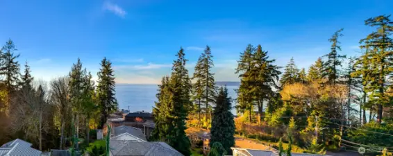 60 ft views