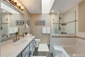 Master Bedroom Bathroom