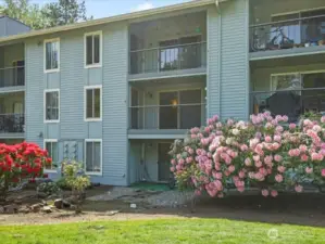 Sammamish Bluffs. 162 condominiums setting on 9.3 acres to enjoy! Lots of open space to enjoy!