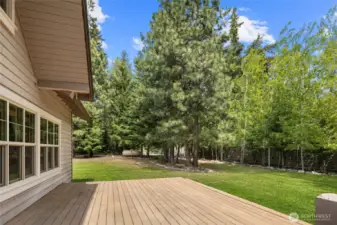 Pine & Aspen trees surround property