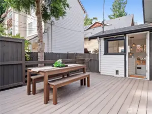 Downstairs yard area