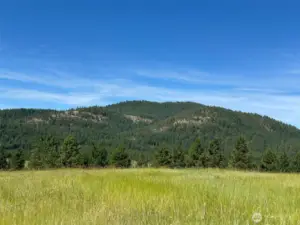 Amazing Views