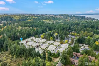 Just 2 miles away are the sparkling waters of the Puget Sound waterfront and 461 acres of scenic nature at Dash Point State Park. Nearby are restaurants, shopping, and amenities in Federal Way.