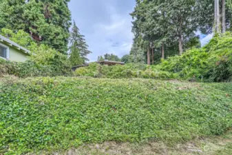 Property Extends up the Hill.  You can see the North Fence Property Line and the South Property Line close to the white and red pole. Vacated City Easement Road just Beyond