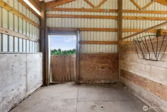 Rubber matted stalls with access to paddocks and pasture.
