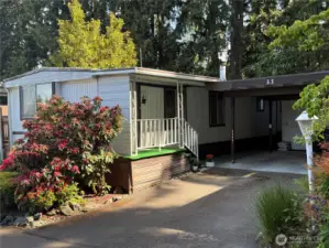 Back door and carport / shed