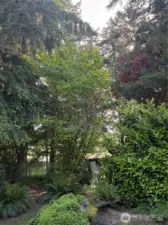 More of the backyard.