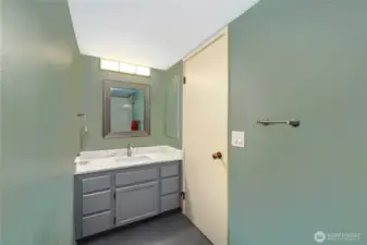 Hall Bathroom  Undermount sink with quartz countertop  Single vanity with decorative mirror and lighting