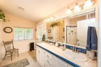 primary bathroom
