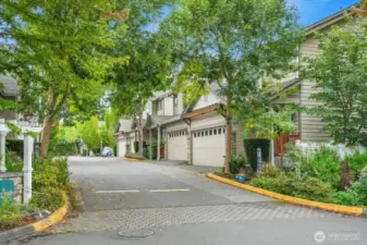 Quiet Entrance Lane to Property