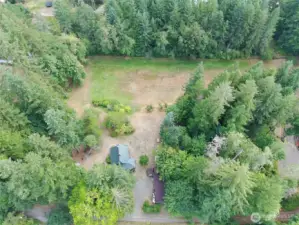 Flat acreage with fruit trees and berry bushes