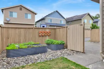 Raised Garden Beds in the private backyard