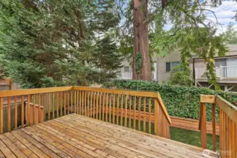 Back Yard Large Deck