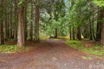 Pathway to sunny pasture