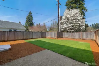 Fully fenced backyard with fresh new landscaping
