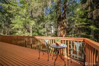 Newly painted back deck is a great spot to enjoy outdoor gatherings with plenty of sun to enjoy the trees surrounding.