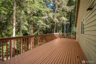 Another view that showcases this expansive deck!