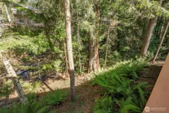 Even a small creek at the back of the property!