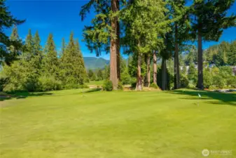 The front nine of Sudden Valley is relatively open and flat and borders the shores of Lake Whatcom. Fairway landing areas are relatively generous and the greens are large.
