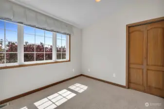 Large 3rd bedroom with windows viewing south has large closet
