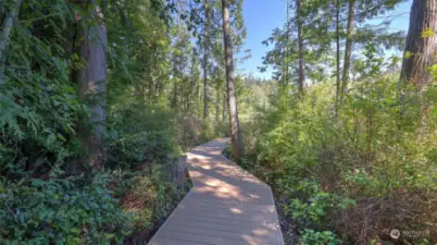 Enjoy serene walks along a peaceful, tree-lined path that leads you directly to your own private lakefront oasis.