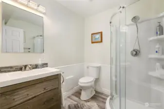 Lower level bathroom