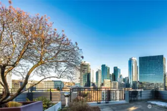 Spectacular city views from the rooftop deck.