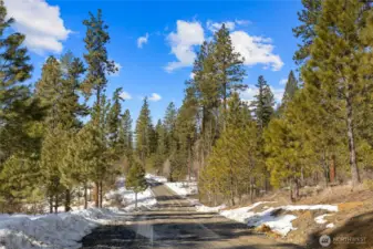 Game Trail Road.