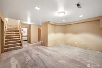 Family Room Downstairs