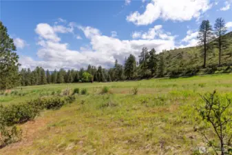 Gently slopped property leads you to the river!