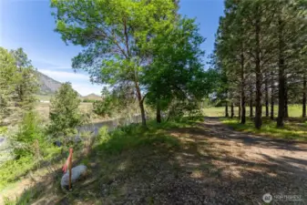 Southern property line is in a stand of mature pines providing a privacy screen.