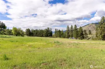 Irrigated pasture includes handlines and pod system.