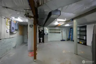 Unfinished basement with great storage