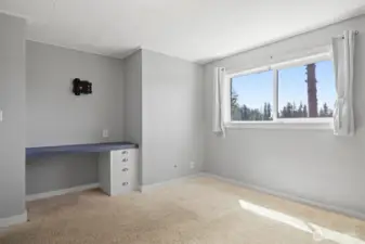 Downstairs bed with built in study area.