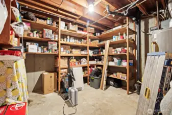 Downstairs Storage or large pantry