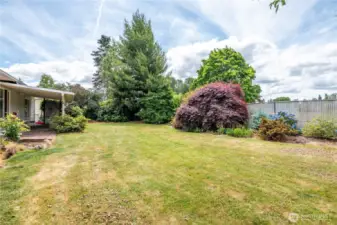 Patio cover and large trees provide shade; Back fence provides privacy