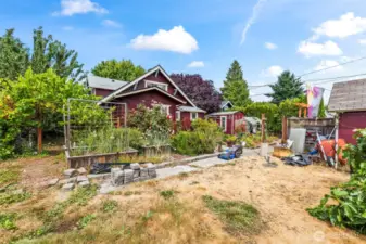 Double city lot with lots of edible plants