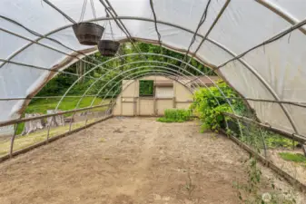 Green house and garden area