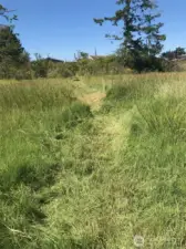 Great area to roam at the end of property near Terrill Creek.