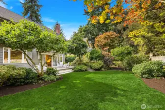 The back yard beginning to show off fall color.