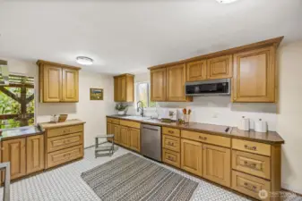 Dining Room to Kitchen