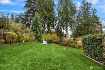 Plenty of space or garden or play